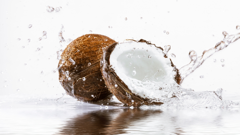 Всемирный день кокоса, фото 24 Всемирный день кокоса, фото 24