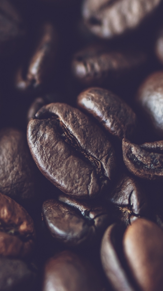 Макро обои для смартфона, фото 25 Макро обои для смартфона, фото 25