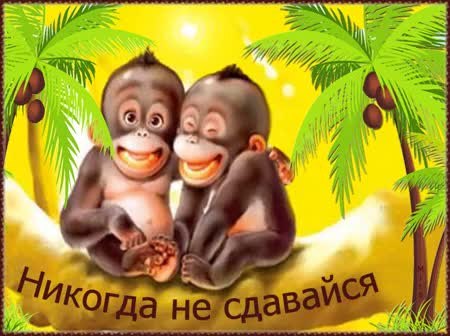 Прикольные открытки для друзей, фото 2 Прикольные открытки для друзей, фото 2
