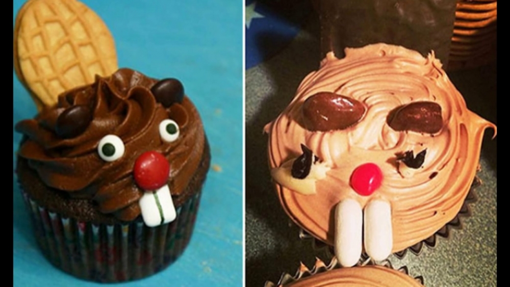 Повар-новичок. Ожидание-реальность, фото 25