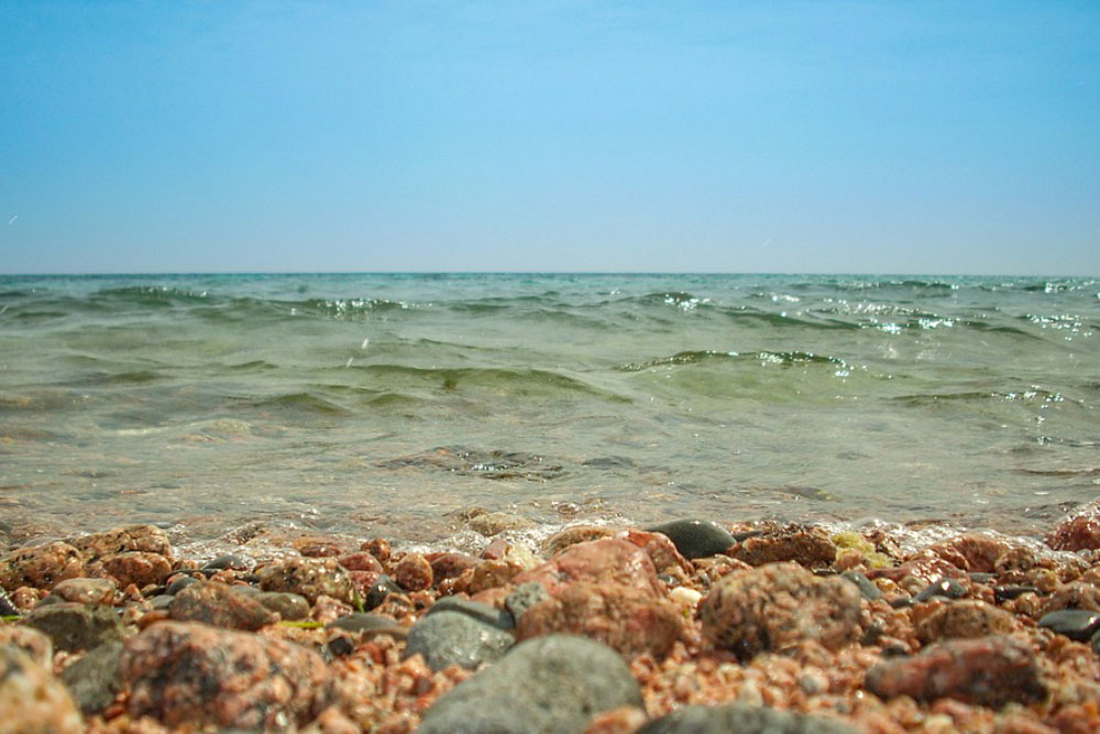 Удивительный мир Красного моря, фото 26