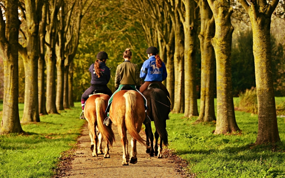 День выгуливания настроения, фото 26 День выгуливания настроения, фото 26