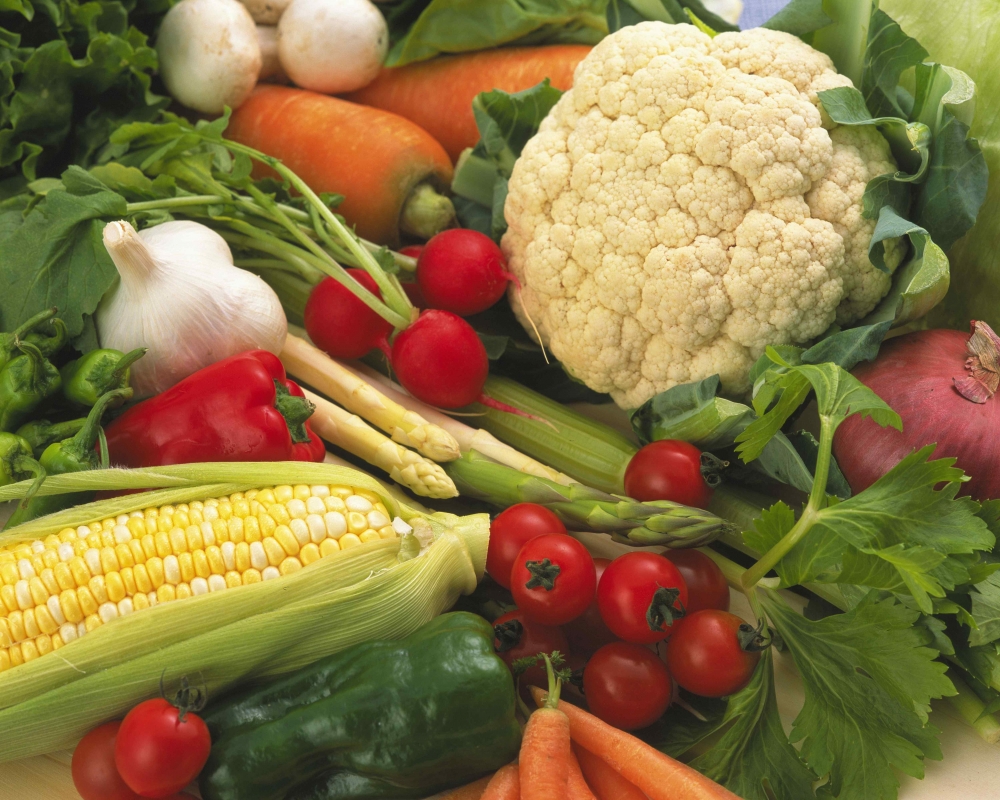 20 марта День без мяса. Экологический праздник, фото 26 20 марта День без мяса. Экологический праздник, фото 26