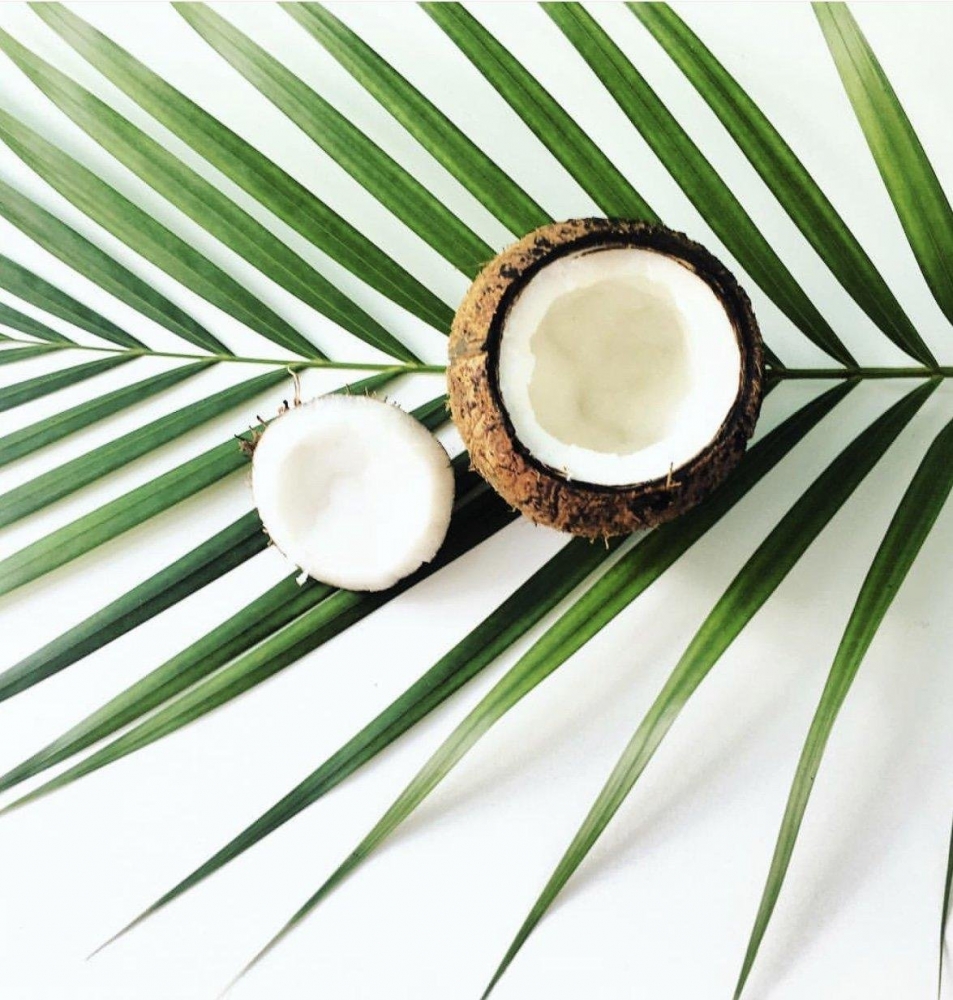 Всемирный день кокоса, фото 25 Всемирный день кокоса, фото 25