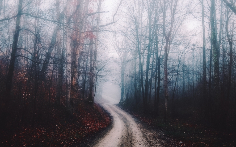 Осенние обои, фото 27 Осенние обои, фото 27