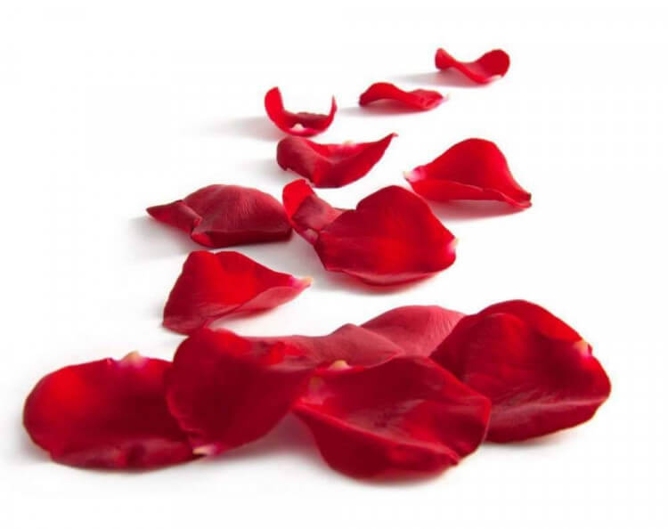 Родник живительный сокрыт в бутоне губ твоих. , фото 28