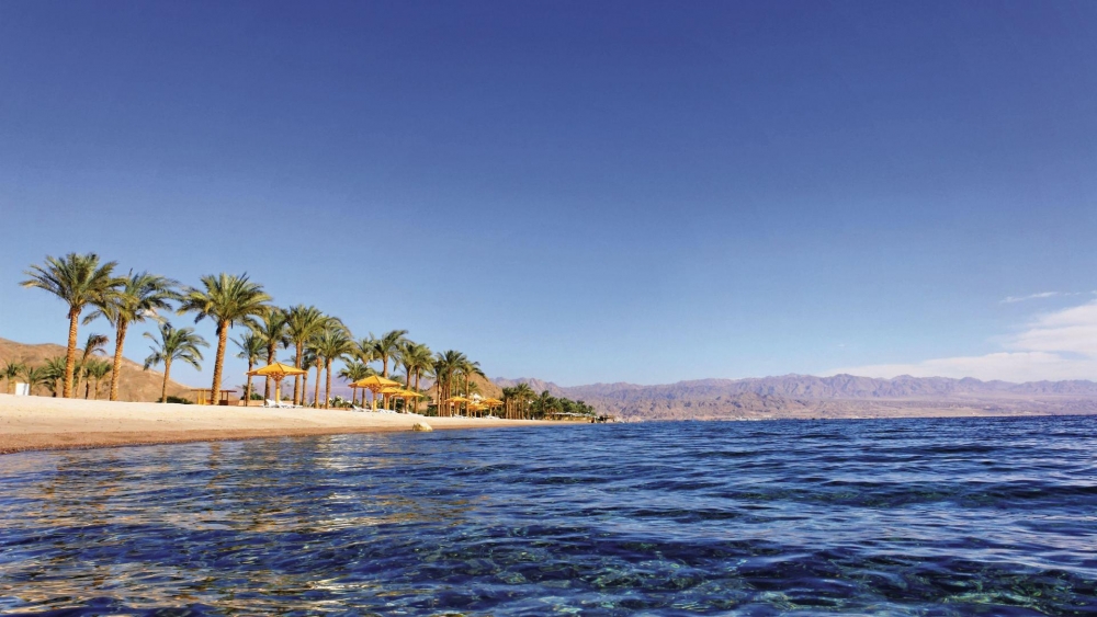 Удивительный мир Красного моря, фото 28