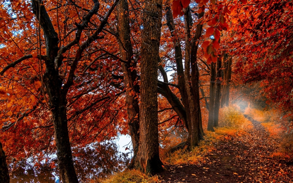 Осенние обои, фото 28 Осенние обои, фото 28