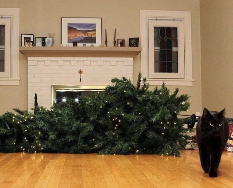 Новый год – новый Кот. Символ 2023 – чёрный водяной кот., фото 29