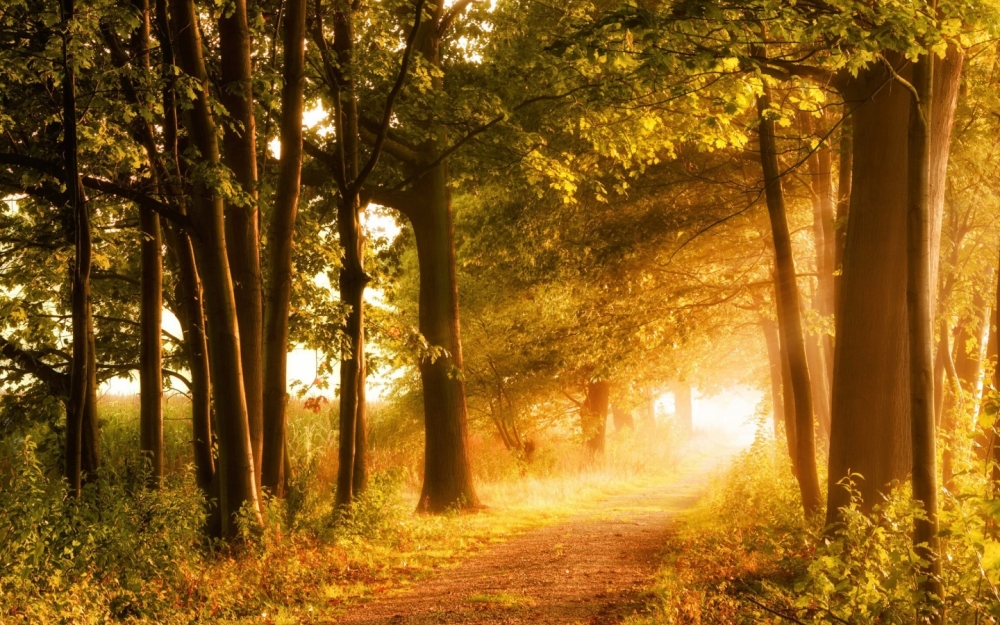 Осенние обои, фото 29 Осенние обои, фото 29