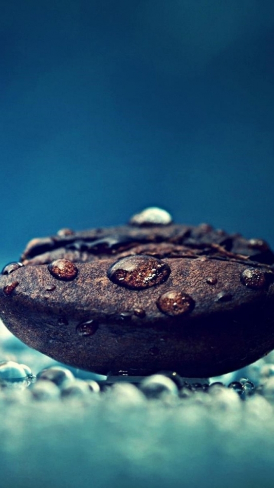 Макро обои для смартфона, фото 29 Макро обои для смартфона, фото 29