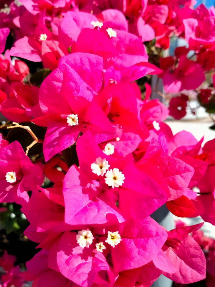 Акварели осени, фото 3