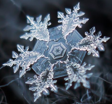 Снежинки - чудо природы, фото 1 Снежинки - чудо природы, фото 1