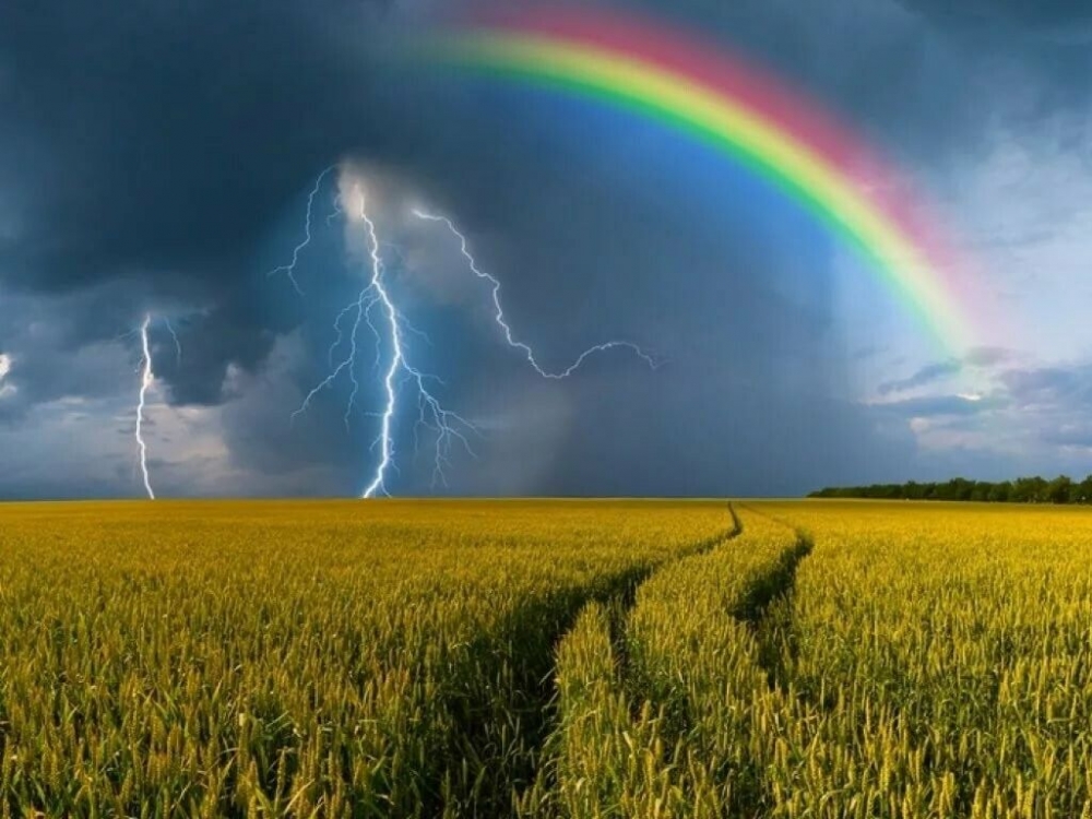 Летняя гроза, фото 1 Летняя гроза, фото 1