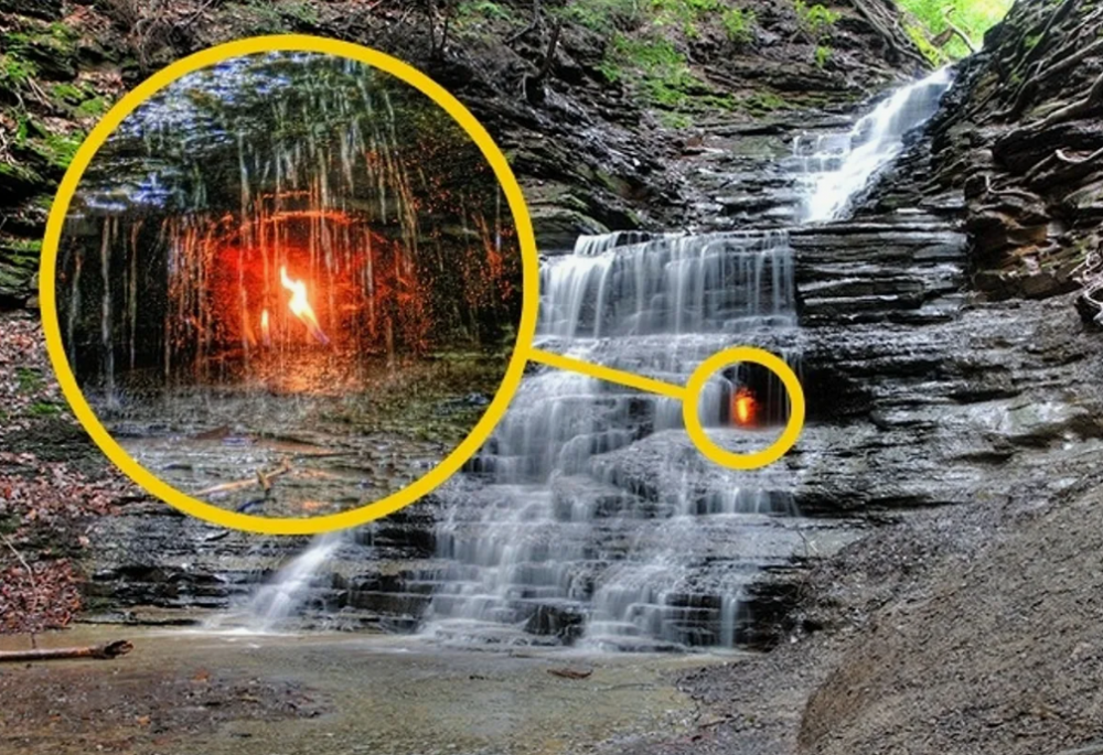 Удивительные природные аномалии, фото 1 Удивительные природные аномалии, фото 1