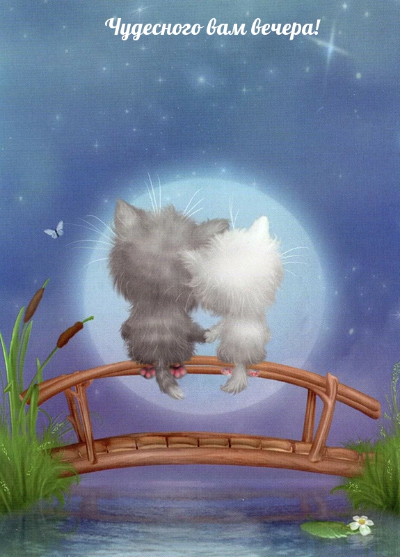 Добрый вечер, фото 1 Добрый вечер, фото 1