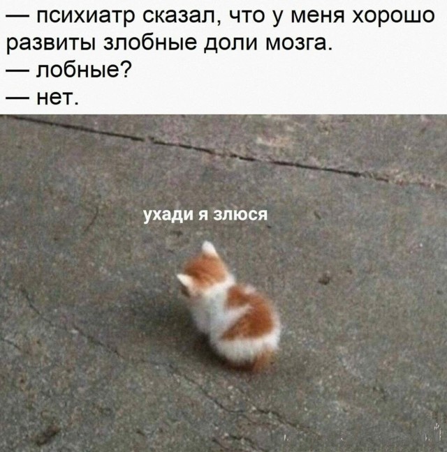 Анекдоты на разные темы, фото 1 Анекдоты на разные темы, фото 1