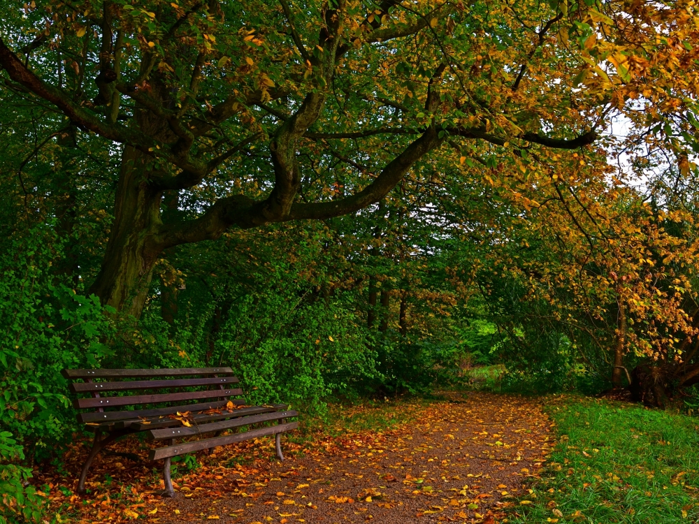Осенние обои, фото 2 Осенние обои, фото 2