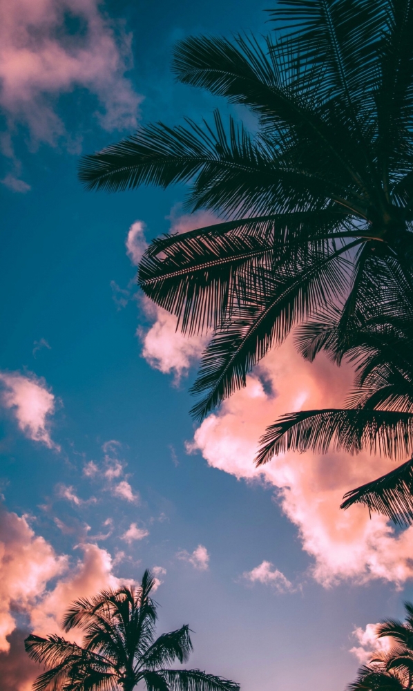 Подборка обоев для iphona 7plus. 10часть( последняя)., фото 33 Подборка обоев для iphona 7plus. 10часть( последняя)., фото 33