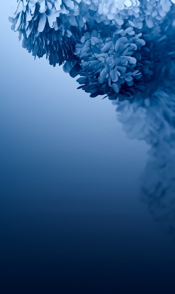 Обои на iPhone 7plus. 6 часть., фото 14 Обои на iPhone 7plus. 6 часть., фото 14