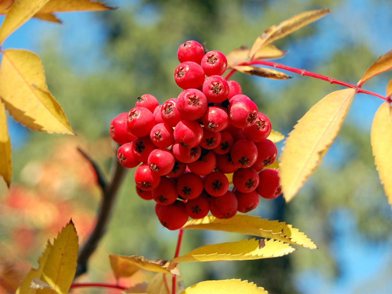 Открытки с переменами время года, фото 1