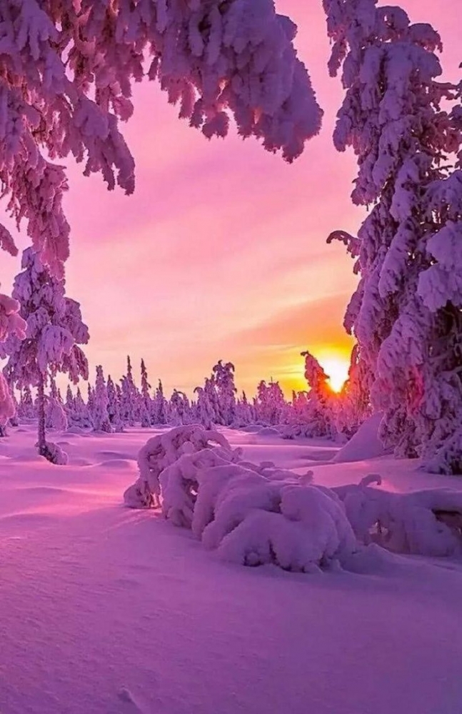 Мороз и солнце - день чудесный!, фото 9 Мороз и солнце - день чудесный!, фото 9