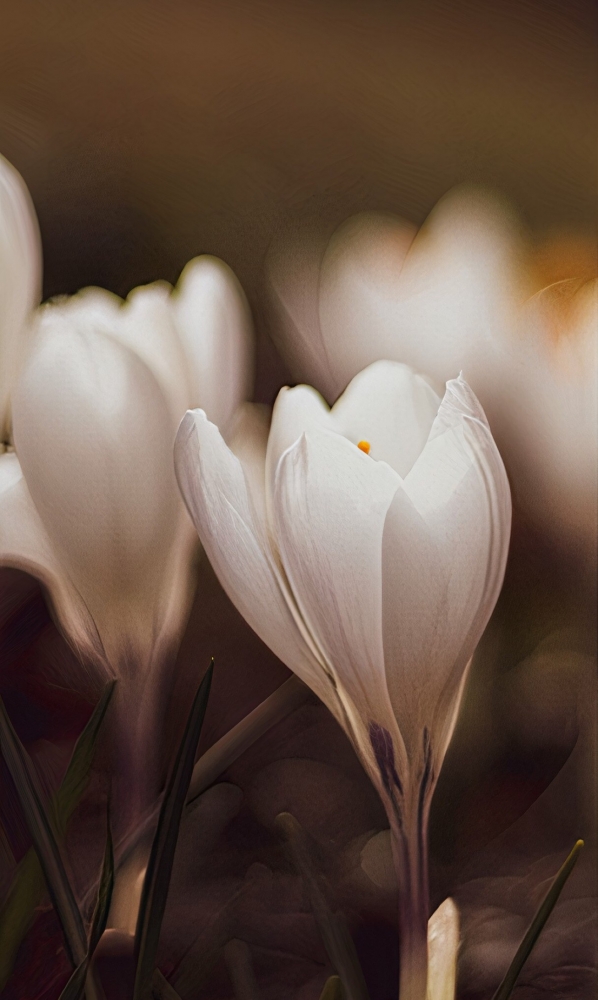 Подборка обоев для iphona 7plus. 10часть( последняя)., фото 41 Подборка обоев для iphona 7plus. 10часть( последняя)., фото 41