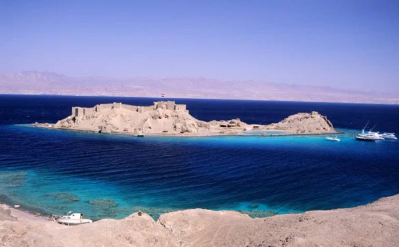 Удивительный мир Красного моря, фото 31