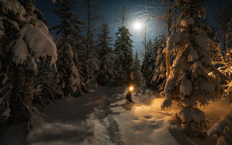 В гостях у Снежной королевы. Зимние обои на рабочий стол., фото 30 В гостях у Снежной королевы. Зимние обои на рабочий стол., фото 30
