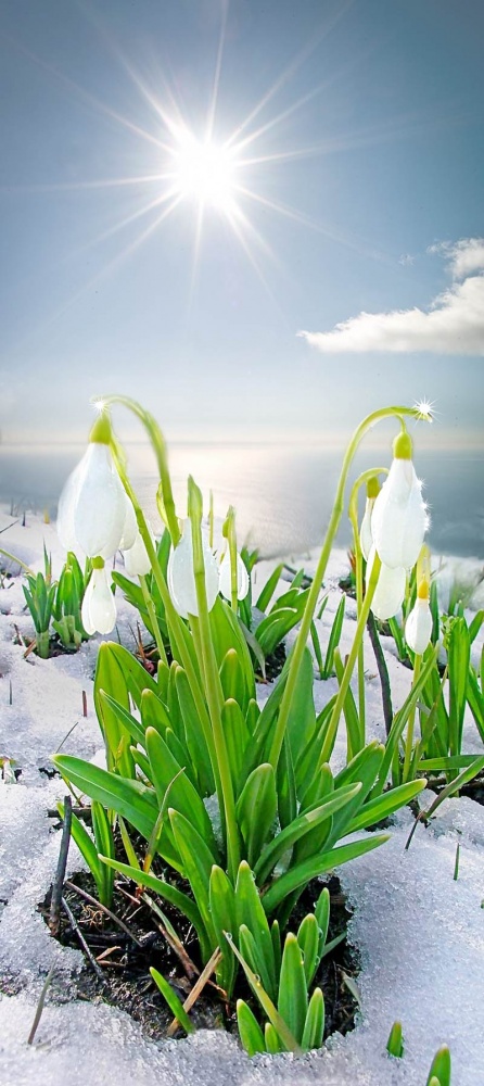 Время года Весна, фото 16