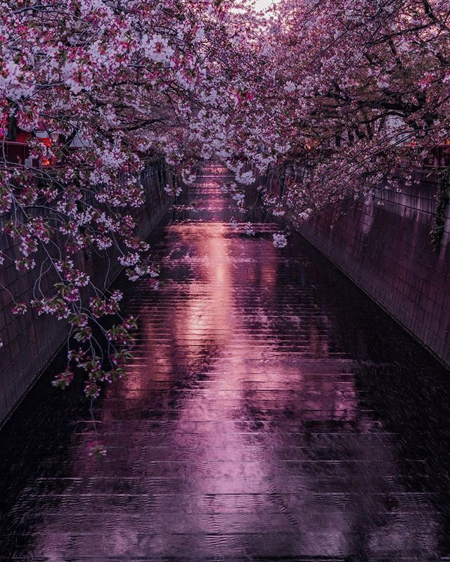 Весенние обои, фото 22 Весенние обои, фото 22