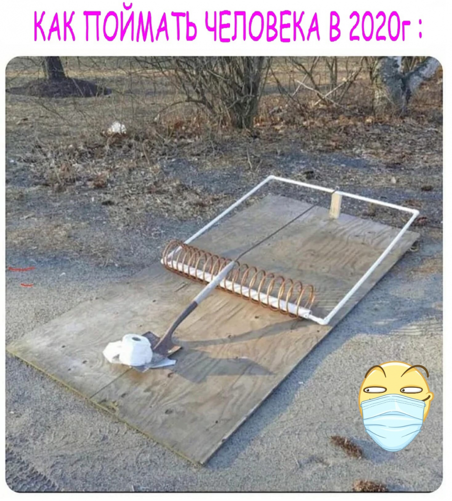 Коронавирус бро, фото 8 Коронавирус бро, фото 8