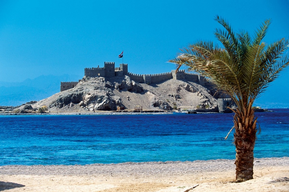 Удивительный мир Красного моря, фото 34