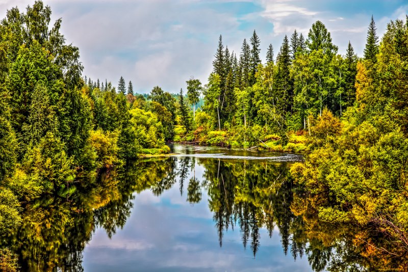 Лесное настроение. Обои и заставки с лесом., фото 33