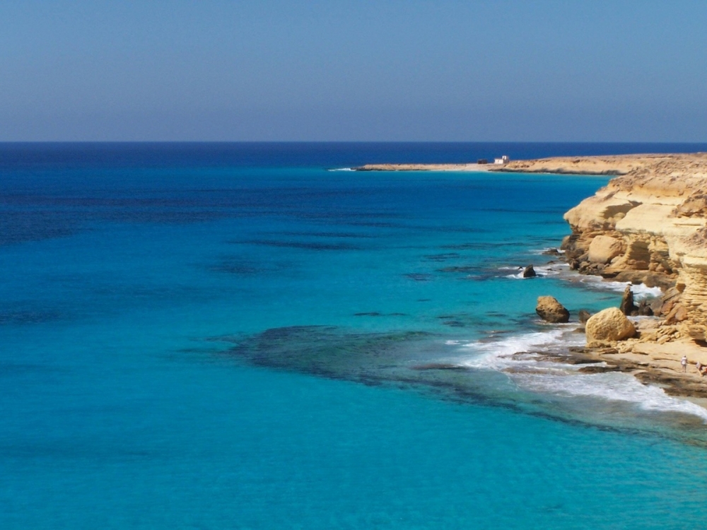 Удивительный мир Красного моря, фото 35