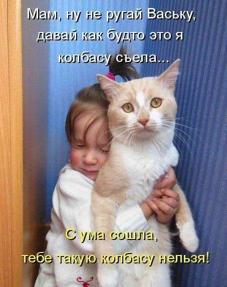 Смешные картинки с котиками. Часть 2, фото 5 Смешные картинки с котиками. Часть 2, фото 5