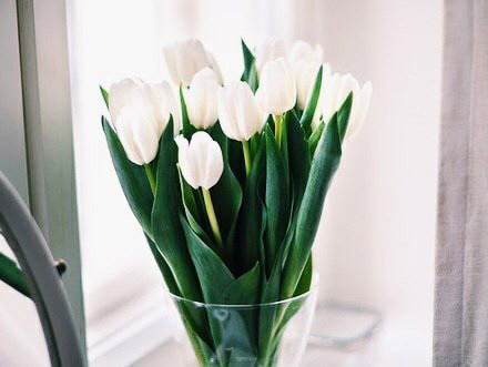 Весенние обои, фото 38 Весенние обои, фото 38