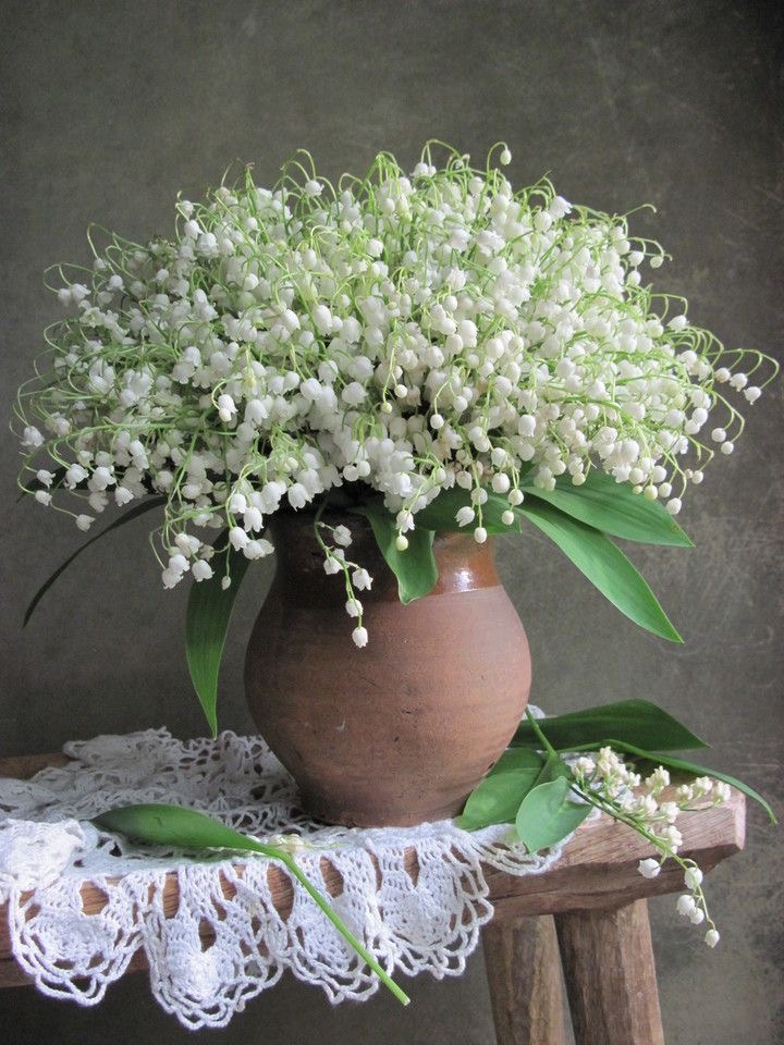 Обои с ландышами , фото 4 Обои с ландышами , фото 4