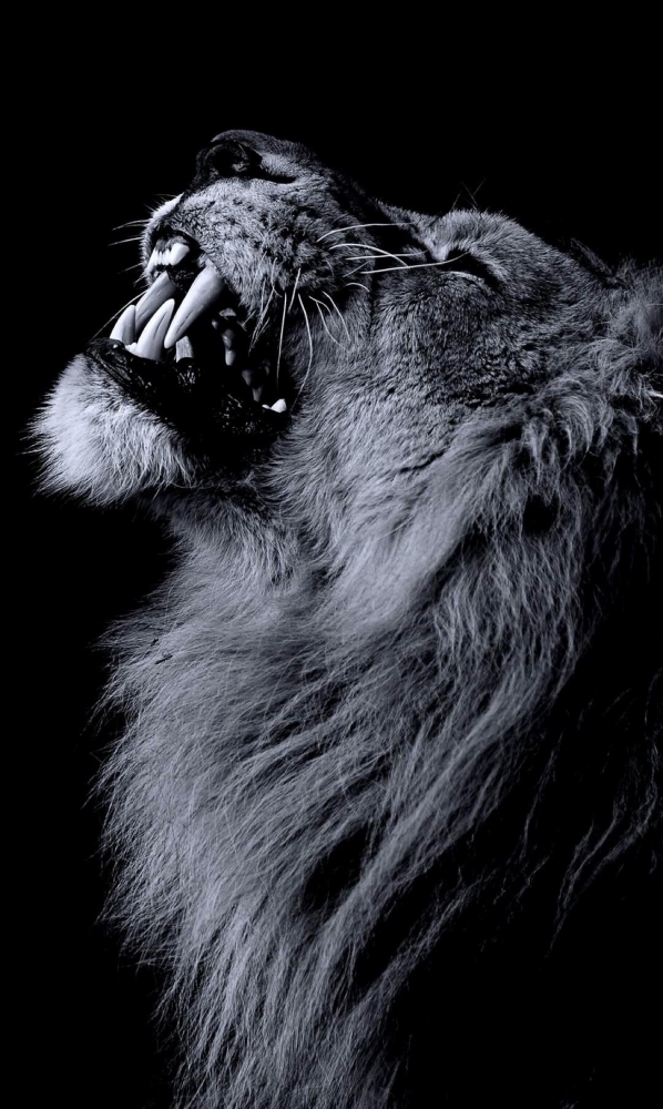 Подборка обоев для iphona 7plus. 2 часть., фото 26 Подборка обоев для iphona 7plus. 2 часть., фото 26