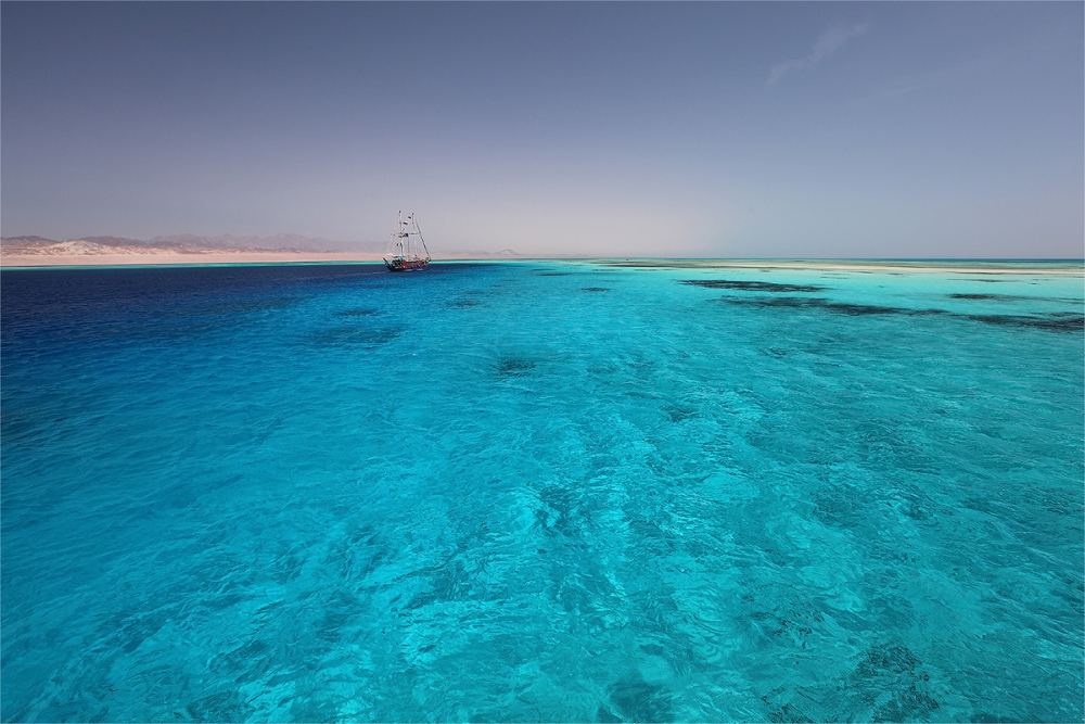 Удивительный мир Красного моря, фото 38