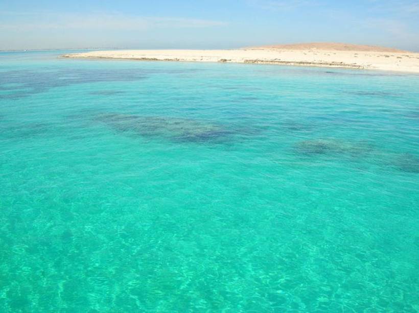 Удивительный мир Красного моря, фото 39