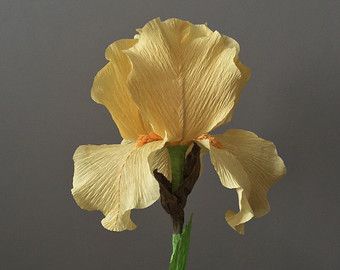 Бумажная красота, фото 2