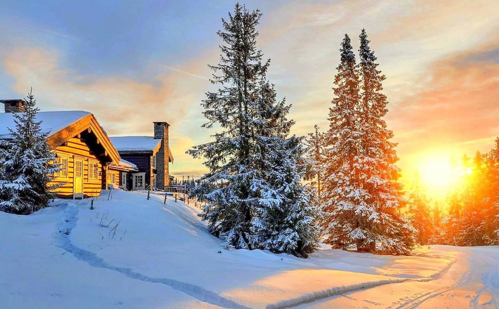 Зимняя сказка, фото 2 Зимняя сказка, фото 2