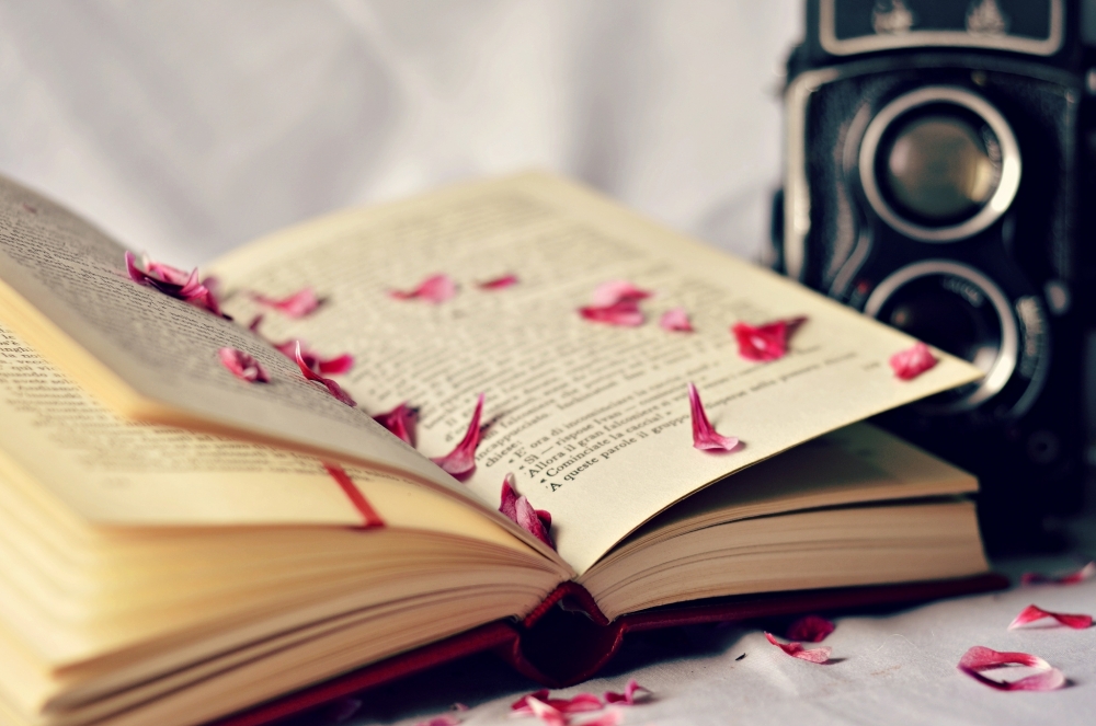 Всемирный день книги и авторского права, фото 2 Всемирный день книги и авторского права, фото 2