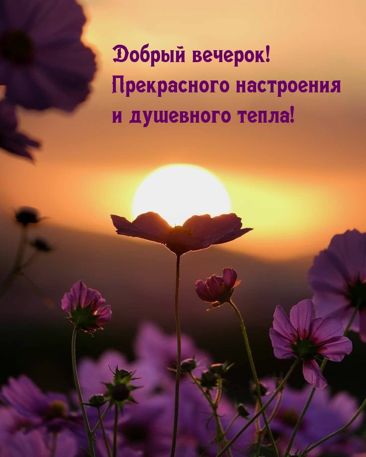 Добрый вечер, фото 2 Добрый вечер, фото 2