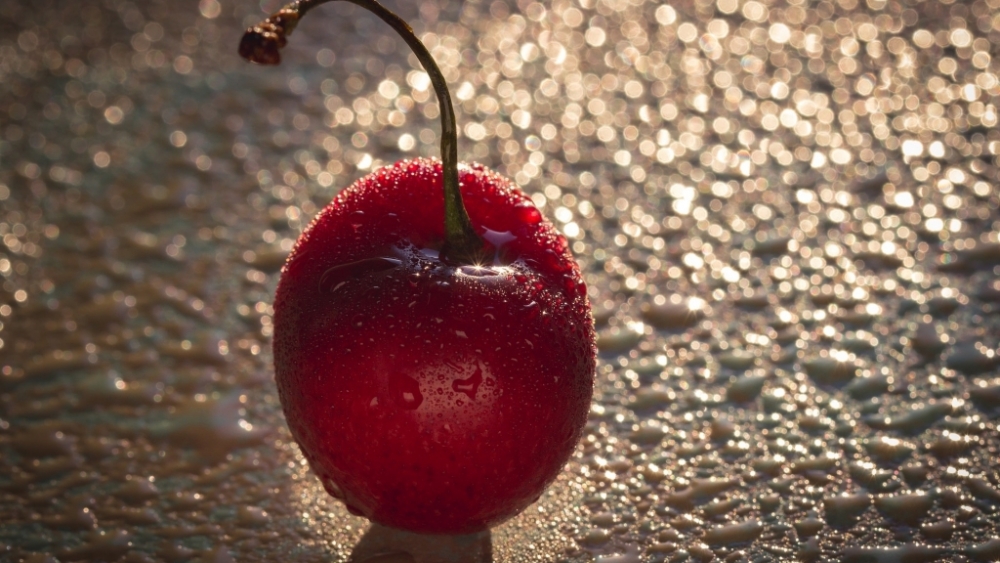 Обои макро (1), фото 3 Обои макро (1), фото 3