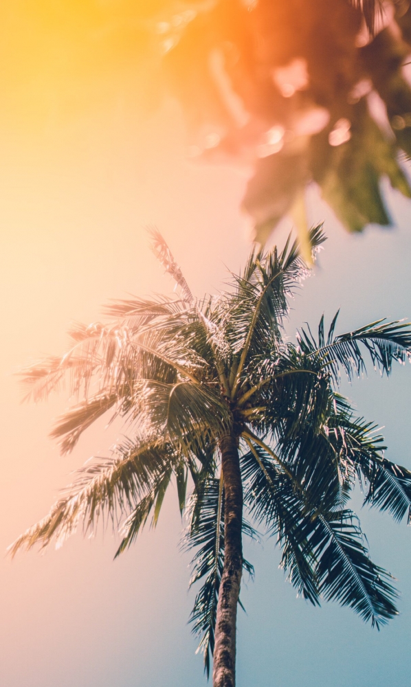 Обои на iPhone 7plus. 6 часть., фото 18 Обои на iPhone 7plus. 6 часть., фото 18