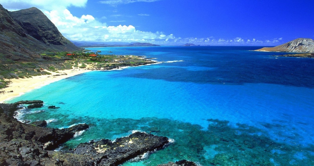 Удивительный мир Красного моря, фото 43