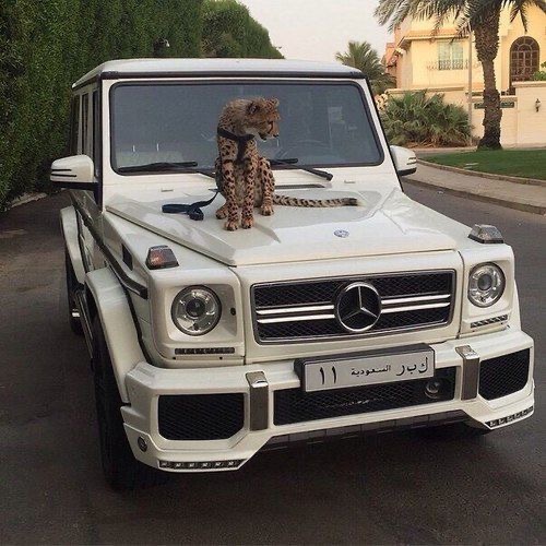 Обои с машинами. 13 часть., фото 39 Обои с машинами. 13 часть., фото 39