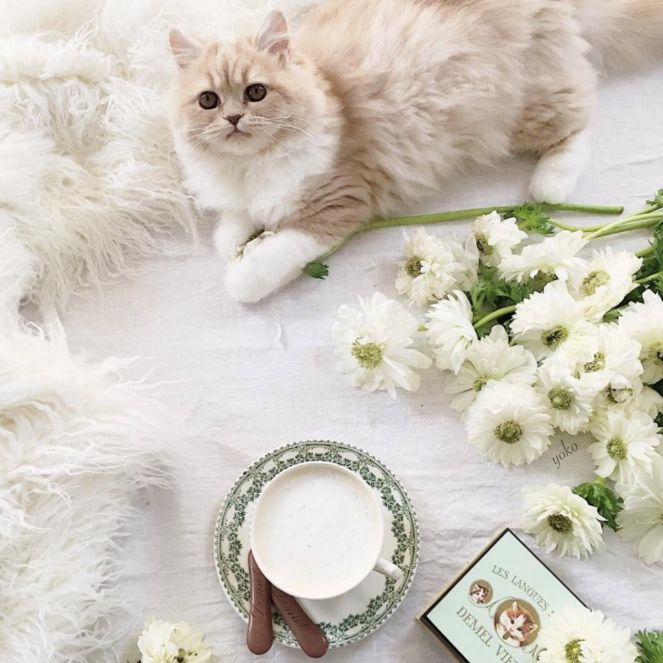 Весенние обои, фото 28 Весенние обои, фото 28